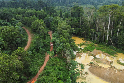 Ghana Bans Forest Mining, Hits Gold Producers