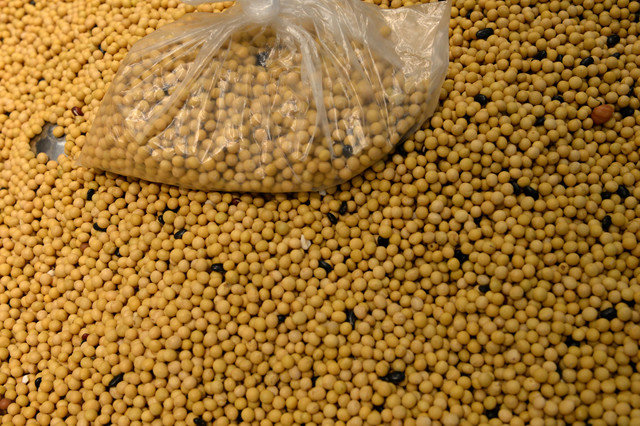 Sinograin's soybean auction marks strategic inventory management ahead of U.S. shipment arrivals