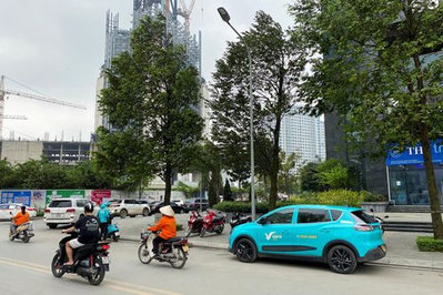 GSM busca IPO en Hong Kong para expansión