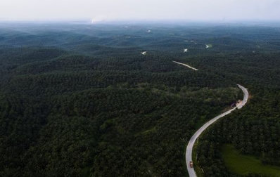 Indonesia Cancels B50 Biodiesel Mandate Plans for 2026