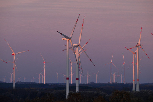 Wind turbines stand as the last sunlight touches the wind park near Parchim, Germany, November 5, 2025. REUTERS/Annegret Hilse