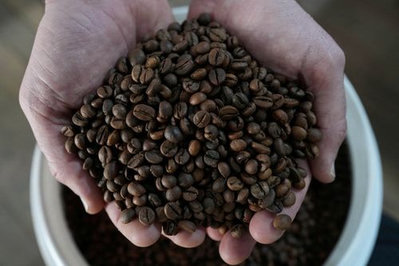 Brazilian Coffee Yields: Mixed Forecasts for 2026