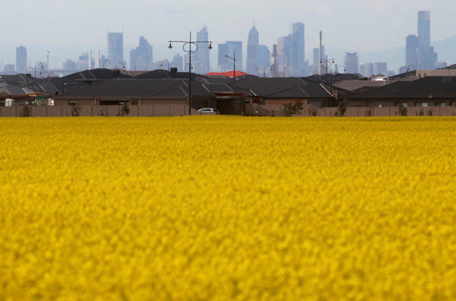 2010年9月8日、メルボルン郊外の新しい住宅地の近くに見えるカノーラ畑。REUTERS/Mick Tsikas/File Photo