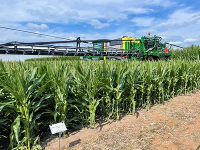 วิกฤตความเชื่อมั่นข้อมูล USDA หลังปรับตัวเลขข้าวโพดสหรัฐฯ