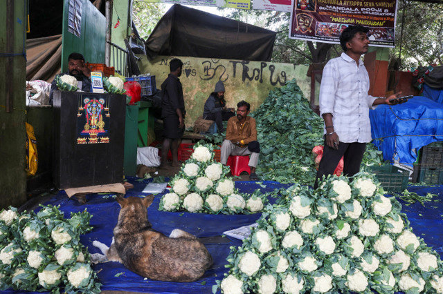 Vendedores sentam-se em uma barraca de vegetais vendendo couve-flor em um mercado em Bengaluru, Índia, em 12 de janeiro de 2026. REUTERS/Priyanshu Singh
