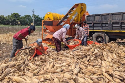 Indian grain prices fall amid new US import agreement