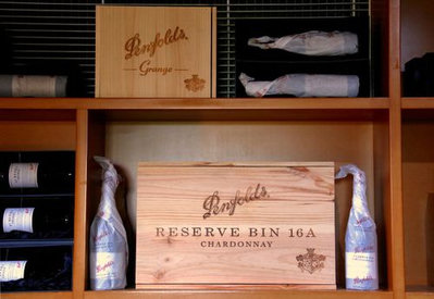 Treasury Wine suspende dividendos após queda no lucro