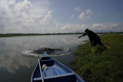 Ecuador shrimp exports hit record high to surpass oil