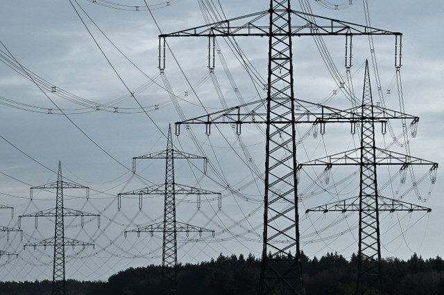 Linhas de alta tensão e torres de eletricidade são vistas perto da autoestrada A24, próxima a Luettow-Valluhn, Alemanha, em 31 de janeiro de 2025. REUTERS/Annegret Hilse