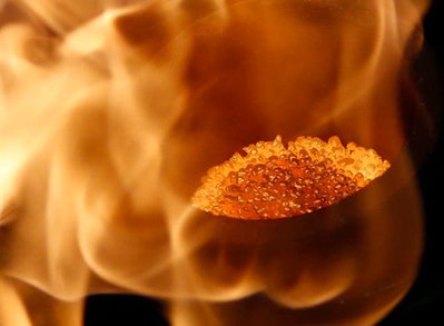 El oro sube por tensiones geopolíticas y bonos a la baja