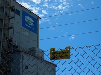 Fonterra tăng dự báo giá sữa và chi trả cổ tức đặc biệt