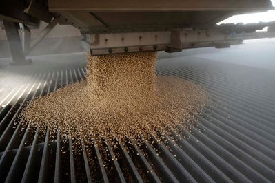 Supreme Court Ruling Clouds US Soybean Sales to China