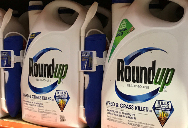 A display of Monsanto Co's Roundup weedkiller for sale in a store in Encinitas, California, United States. REUTERS/Mike Blake/File Photo