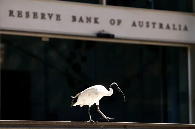 An ibis stands near the Reserve Bank of Australia building in Sydney's central business district, captured on February 6, 2018. REUTERS/Daniel Munoz