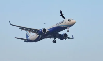 Middle East war and Pakistan ban hit Indian airlines