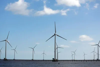 Foreign Investors Warn Vietnam Over Renewable Energy Cuts