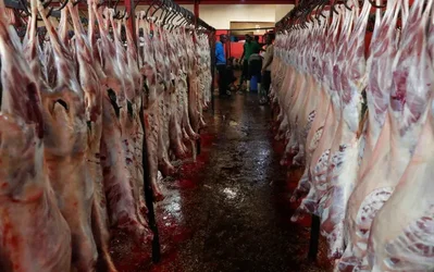 Conflito no Oriente Médio reduz exportações de carne do Quênia