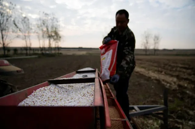 A farmer in Henan province, China, loads fertilizer and seeds into a seeder for a wheat field. REUTERS/Aly Song