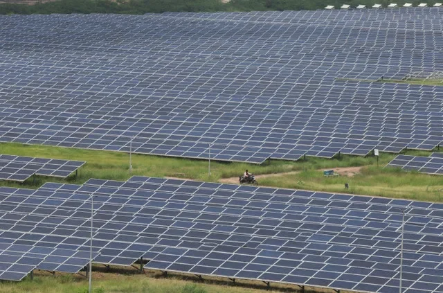 A man on a motorcycle travels past solar panels at the Gujarat Solar Park, also known as the Charanka Solar Park, in the Patan district of Gujarat, India, on September 12, 2024. REUTERS/Amit Dave/File Photo