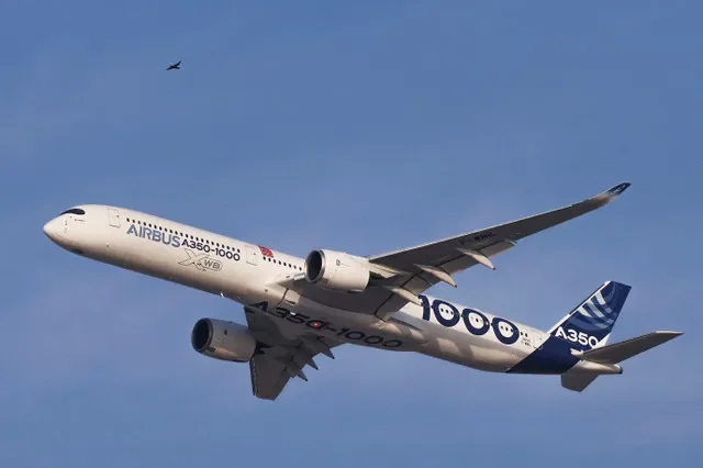 FOTO DE ARQUIVO: Um pássaro voa perto de uma aeronave Airbus A350 realizando um voo de demonstração no Dubai Airshow em Dubai, Emirados Árabes Unidos, 17 de novembro de 2025. REUTERS/Amr Alfiky/Foto de Arquivo
