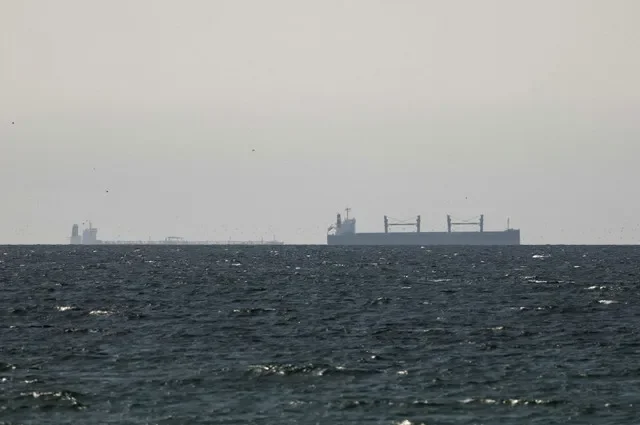 A cargo vessel navigates the waters near the Strait of Hormuz as seen from the United Arab Emirates coastline during the height of the regional conflict on March 11, 2026. REUTERS/Stringer