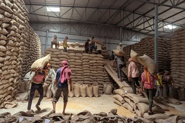 Trabajadores apilan sacos de trigo en un almacén en Narmadapuram, en el estado central de Madhya Pradesh, India, el 24 de abril de 2025. REUTERS/Rajendra Jadhav