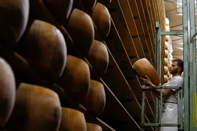 US Parmesan Imports Drop 16 Percent Amid Trade Uncertainty