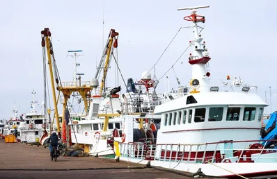 La flota pesquera neerlandesa se paraliza por el gasóleo