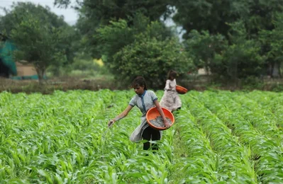 India Boosts Fertilizer Stocks via Alternative Sources