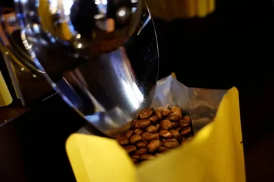 One Fifth of Arabica Coffee Areas to Be Unsuitable by 2050