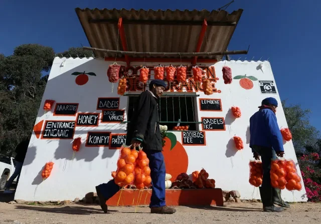Trabajadores cargan naranjas en un puesto agrícola en Citrusdal, provincia del Cabo Occidental, Sudáfrica, el 9 de julio de 2025. REUTERS/Esa Alexander