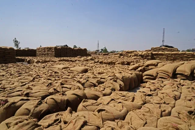 Sacos de trigo colhido são vistos em um mercado de grãos na vila de Gaggarpur, no estado de Haryana, no norte da Índia, em 25 de abril de 2025. REUTERS/Bhawika Chhabra