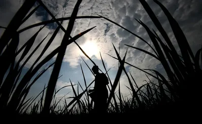 India tenders for 2.5 million tons of urea imports