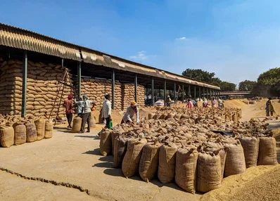 India eases rice export rules for some European nations