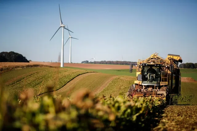 フランスのヴィレール=フォコンにあるクリスタル・ユニオンの製糖工場近くで収穫されるテンサイ(2021年10月14日)。REUTERS/Benoit Tessier