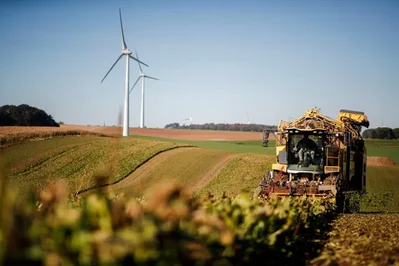 Cristal Union registra queda de 14% na receita anual