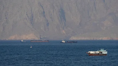 Strait of Hormuz ship traffic hit highest level since March