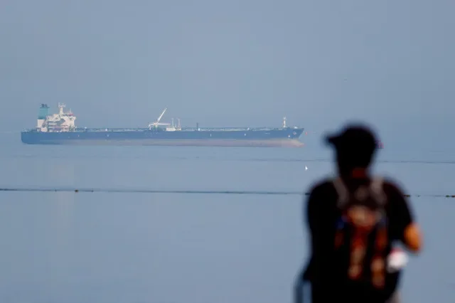 A view from Narara Marine National Park in the Arabian Sea shows an oil tanker, the MT Desert Kite, transporting Russian crude to India. REUTERS/Amit Dave/File Photo