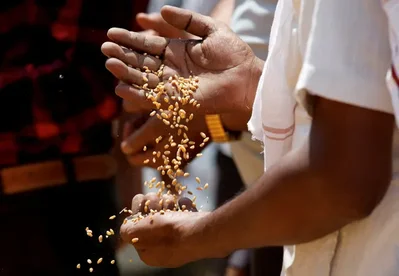 India Resumes Wheat Exports After Four Year Gap