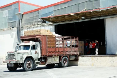 WFP Halves Syria Food Aid Over Funding Shortages