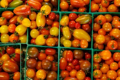 US Producer Prices Post Largest Increase in Four Years