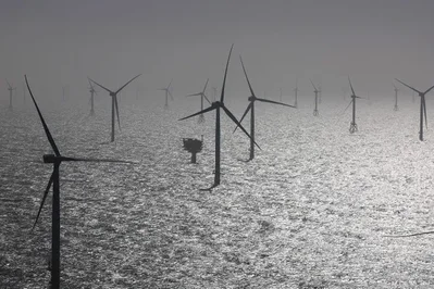 The BWO lobby group seeks laws allowing developers to return unused sites to avoid delays on 50 billion euros in projects. Major firms are reviewing plans.
