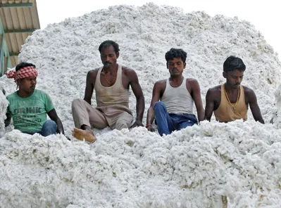 India will scrap its 11% cotton import duty from June 1 to October 30. The move aims to lower input costs for textile firms amid global supply disruptions.