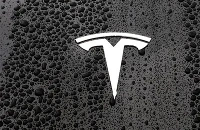 Tesla 与 Syrah Resources 结束石墨供应争议