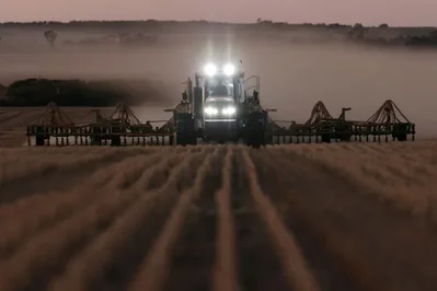 Lluvias impulsan siembra de trigo en Australia pese a El Niño