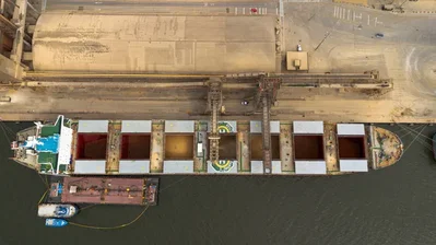 Brazil May trade surplus hits 7.8 billion dollars