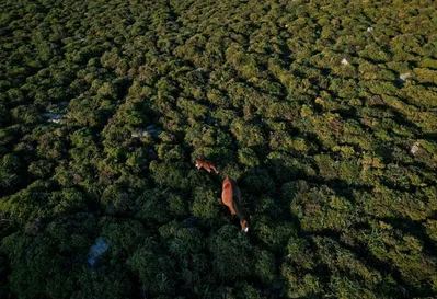 生物多样性丧失或引发全球债务危机并推高借贷成本