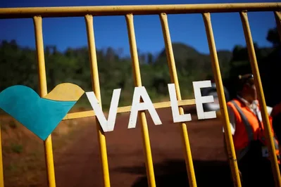 Brazilian miner Vale has appointed Manuel Lino Oliveira as its new chairman following a governance clash between the board and top shareholder Previ. The move comes after the resignation of former chairman Daniel Stieler earlier this month.