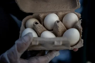 Midwest Poultry Services is recalling nearly 1.6 million dozen eggs in Texas and nearby states due to salmonella concerns. No illnesses have been reported.