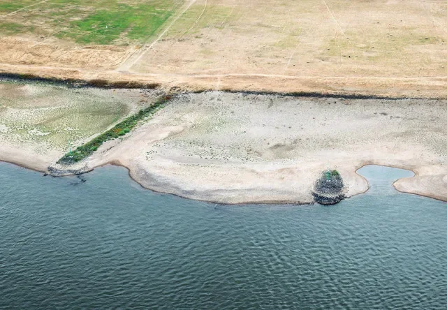Riverbanks during prolonged dry weather across Europe that has left the Rhine River at near-record low levels, disrupting German industries, Duesseldorf, Germany, August 19, 2026. REUTERS/Leon Kuegeler